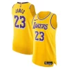 Stupendo Carino Fantastico LeBron James Los Angeles Lakers Nike Authentic Jersey Icon Edition Gold