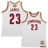 Fantastico Magnifico LeBron James Cleveland Cavaliers 2015/16 Hardwood Classics Authentic Jersey White