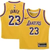 Classico Raffinato LeBron James Los Angeles Lakers Nike Preschool Dri FIT Swingman Player Jersey Icon Edition Gold