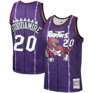 Meraviglioso Elegante Damon Stoudamire Toronto Raptors 1995/96 Hardwood Classics Swingman Jersey Purple