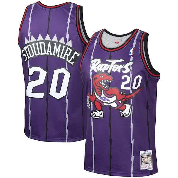 Meraviglioso Elegante Damon Stoudamire Toronto Raptors 1995/96 Hardwood Classics Swingman Jersey Purple