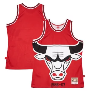 Magnifico Duraturo Chicago Bulls Hardwood Classics Blown Out Fashion Jersey Red