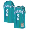 Magnifico Larry Johnson Charlotte Hornets Youth 1992/93 Hardwood Classics Swingman Jersey Teal