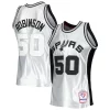 Trendy David Robinson San Antonio Spurs 1998/99 Hardwood Classics 75th Anniversary Swingman Jersey Platinum