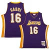 Eccezionale Fascinante Classico Pau Gasol Los Angeles Lakers 2009/10 Hardwood Classics Swingman Jersey Purple