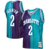 Eccezionale Larry Johnson Charlotte Hornets Hardwood Classics Split Swingman Jersey Teal/Purple