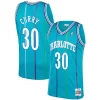 Resistente Dell Curry Charlotte Hornets 1992/93 Hardwood Classics Swingman Jersey Teal