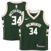 Raffinato Gorgeous Elegante Giannis Antetokounmpo Milwaukee Bucks Nike Preschool Swingman Player Jersey Icon Edition Hunter Green