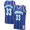 Pratico Alonzo Mourning Charlotte Hornets 1994/95 Hardwood Classics Swingman Jersey Purple