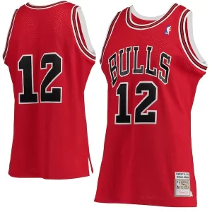 Meraviglioso Michael Jordan Chicago Bulls 1989/90 Hardwood Classics Authentic Jersey Red